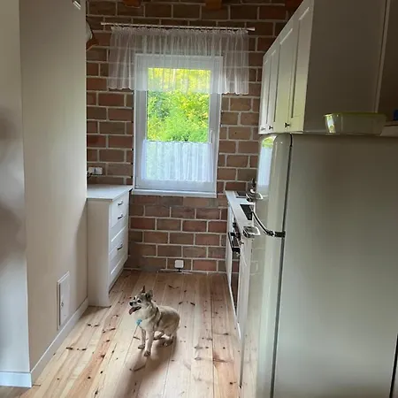 Prázdninový dům Dom Letniskowy Nad Jeziorem - Kaszuby