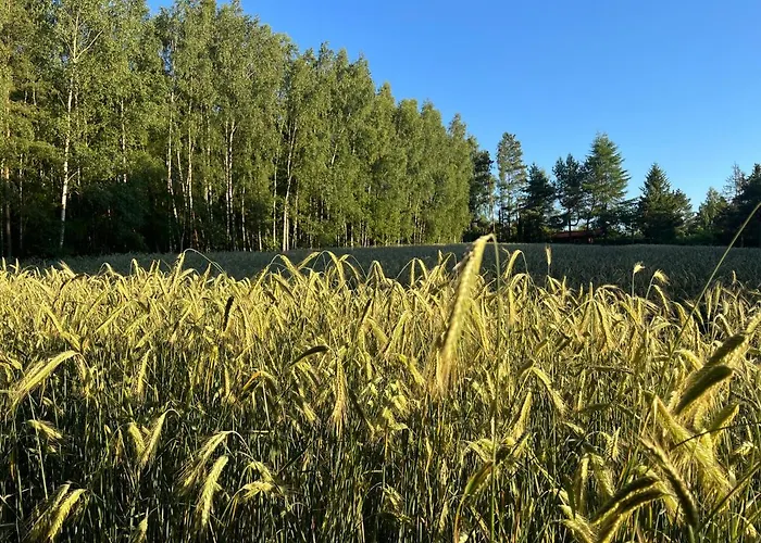 Dom Letniskowy Nad Jeziorem - Kaszuby * Podjazdy