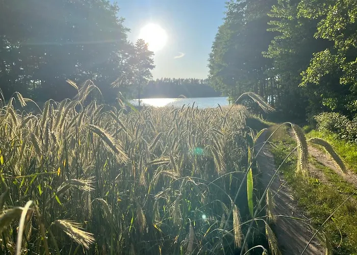 Dom Letniskowy Nad Jeziorem - Kaszuby Podjazdy